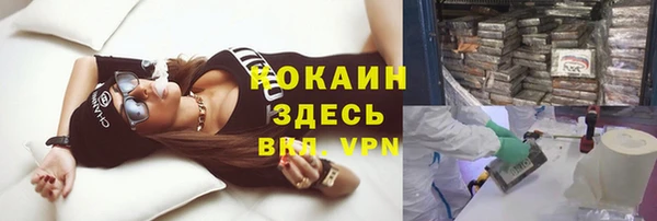 трава Арсеньев