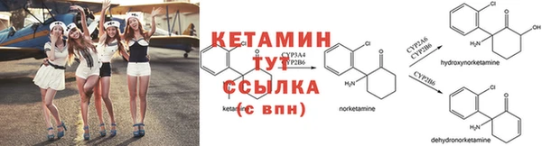 гашик Балахна