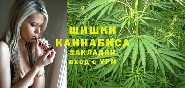 гашик Балахна