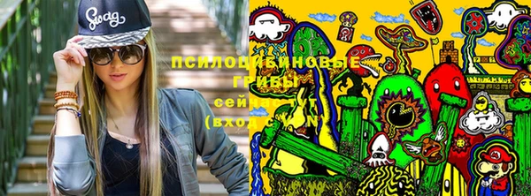 трава Арсеньев